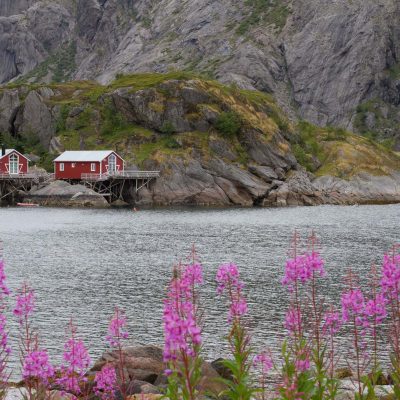 Alentours de Nusfjord