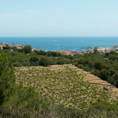 Banyuls vu d'en haut